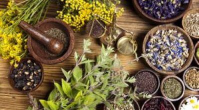 Medicinal plants will help get rid of pests